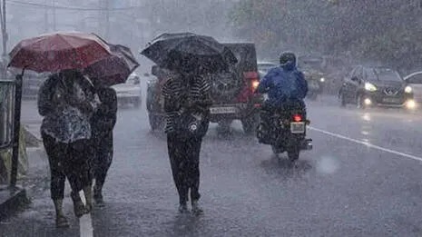 brief news thumbnail