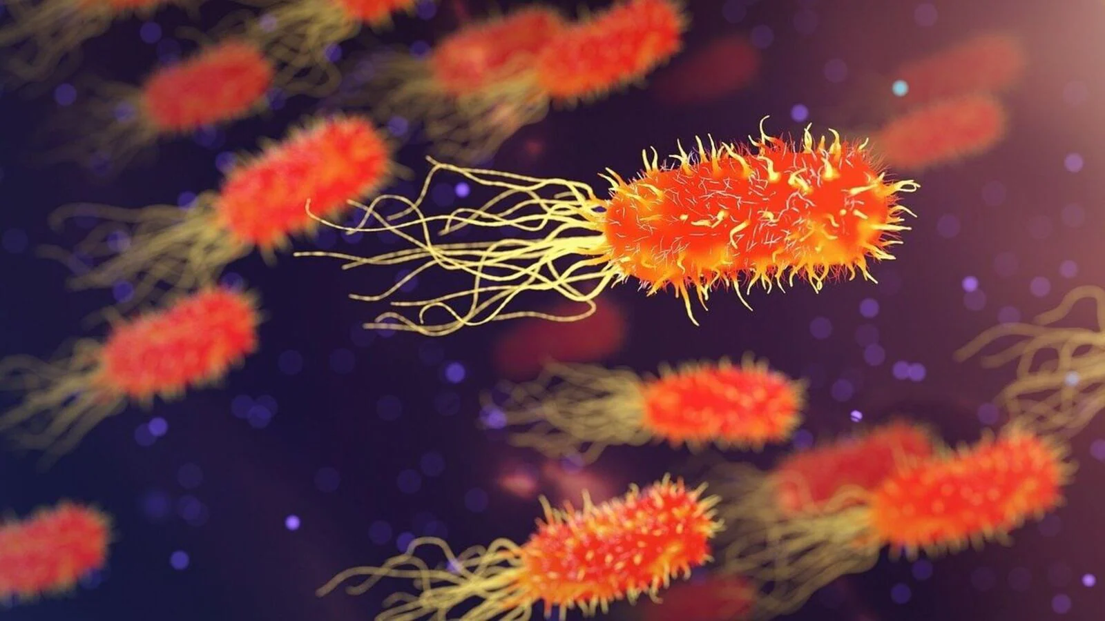 short video thumbnail