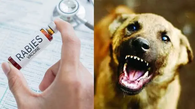 short video thumbnail