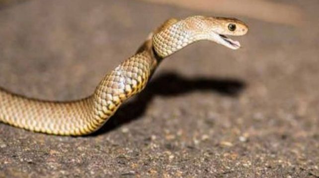 short video thumbnail