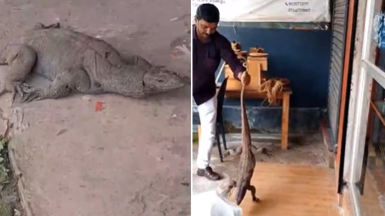 short video thumbnail