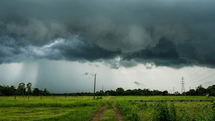 brief news thumbnail